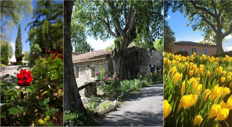 Le Hameau De L'Etoile Hotel Saint-Martin-de-Londres Екстериор снимка